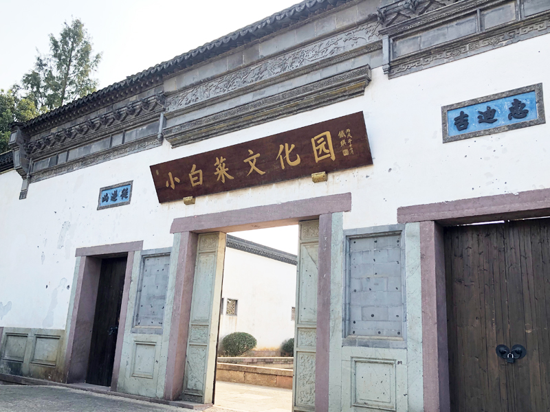 徐永革余杭小白菜文化園營(yíng)銷(xiāo)經(jīng)理
