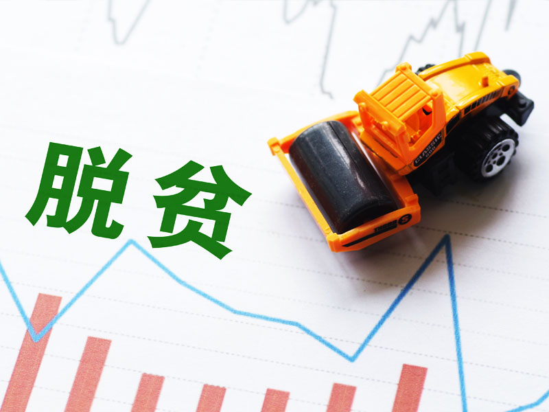 三偷鄉(xiāng)長-3