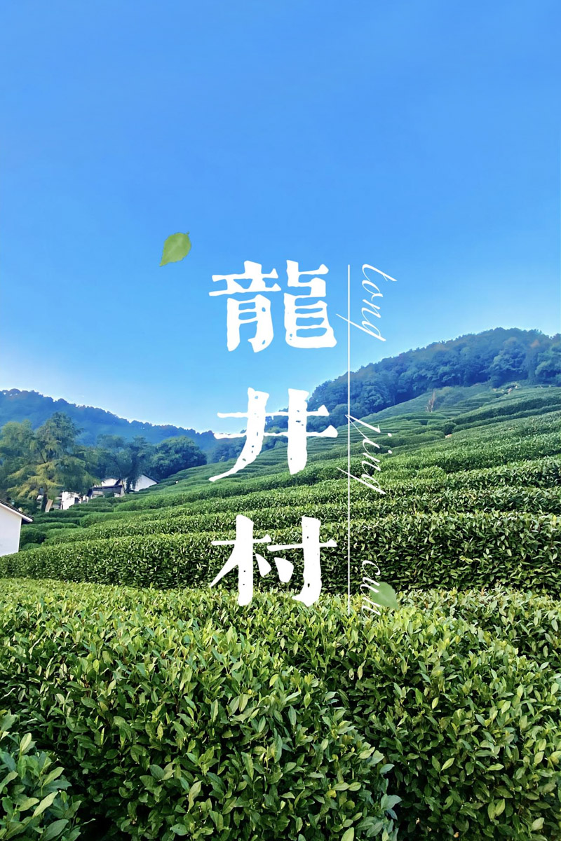 龍井茶的傳說 西湖龍井的歷史由來-1